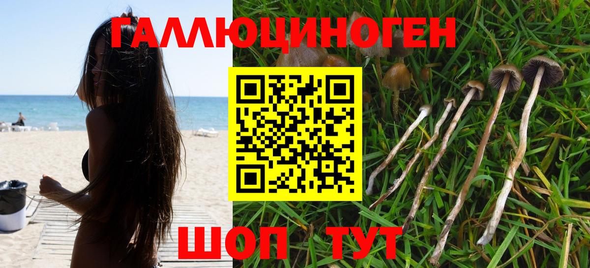 Галлюциногенные грибы Magic Shrooms  наркотики  Павловский Посад  Вход с VPN 