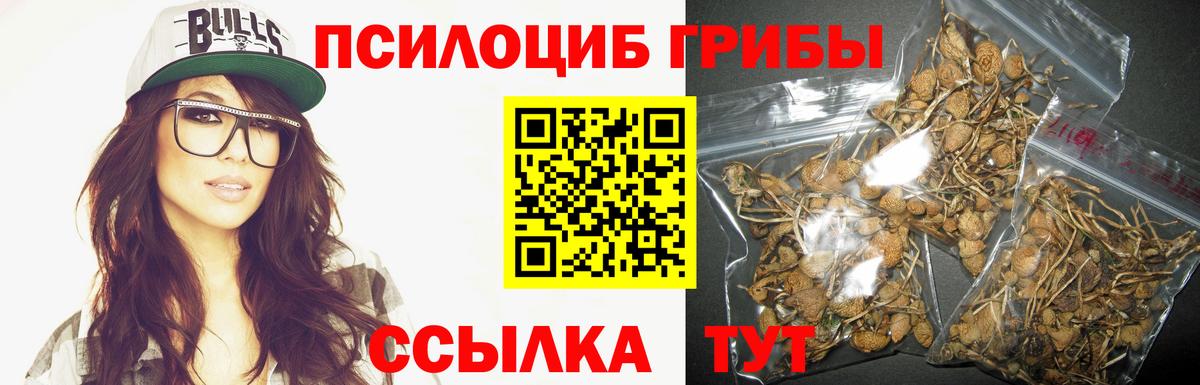 Галлюциногенные грибы Cubensis Павловский Посад